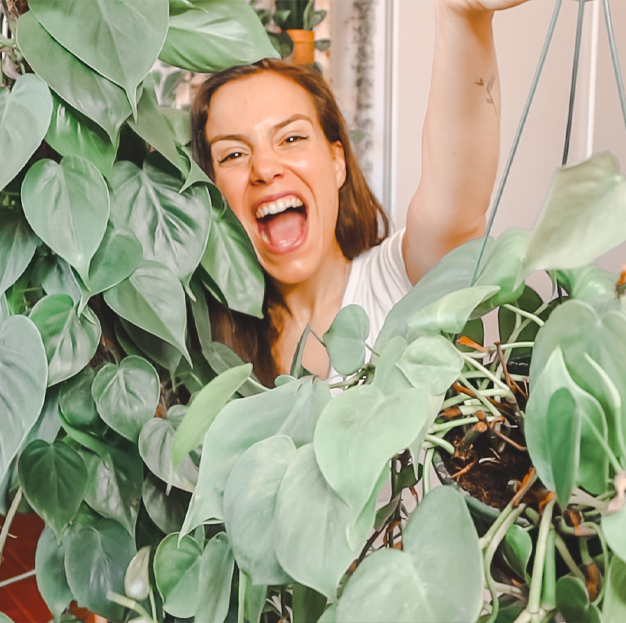 Horta de outono com A Tripeirinha